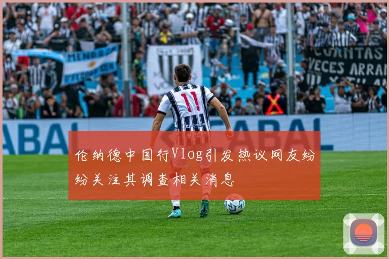 伦纳德中国行Vlog引发热议网友纷纷关注其调查相关消息