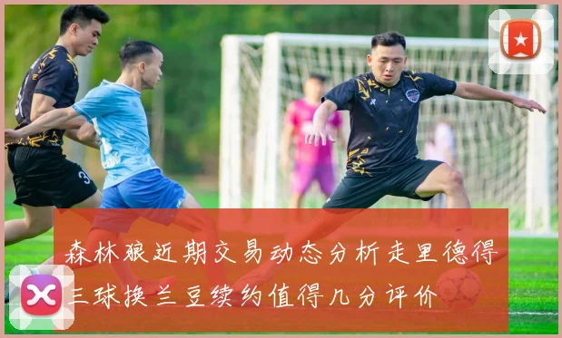 森林狼近期交易动态分析走里德得三球换兰豆续约值得几分评价