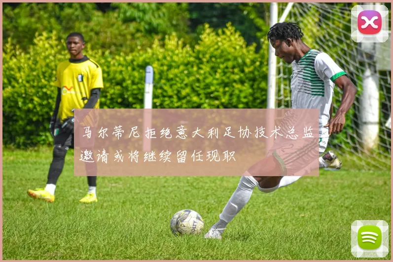 马尔蒂尼拒绝意大利足协技术总监邀请或将继续留任现职